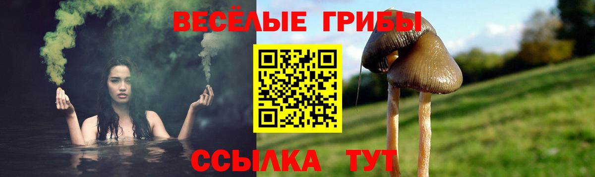 Галлюциногенные грибы прущие грибы  Вход с VPN  Кудымкар 